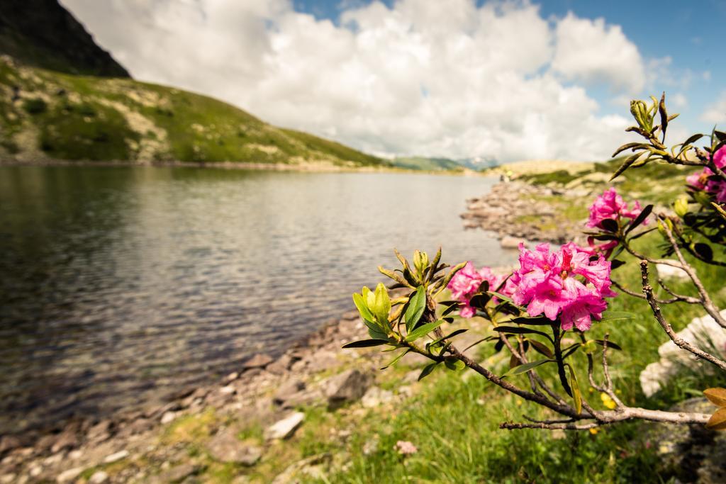 Appartementhaus Gastein Inklusive Alpentherme Gratis Bad Hofgastein Exteriér fotografie